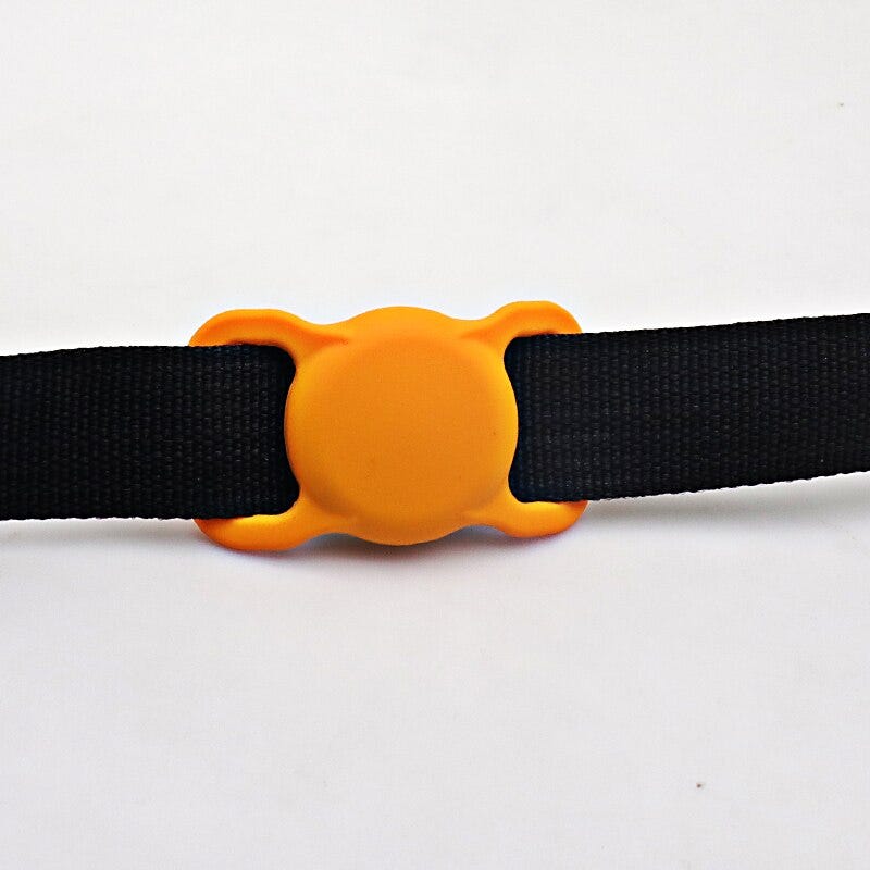 Strap-mounted holder for pet collar