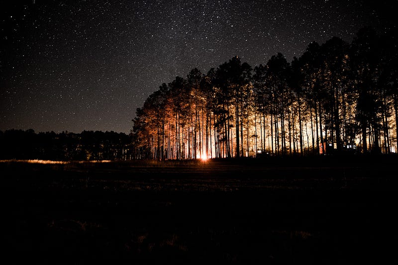 Campground at night