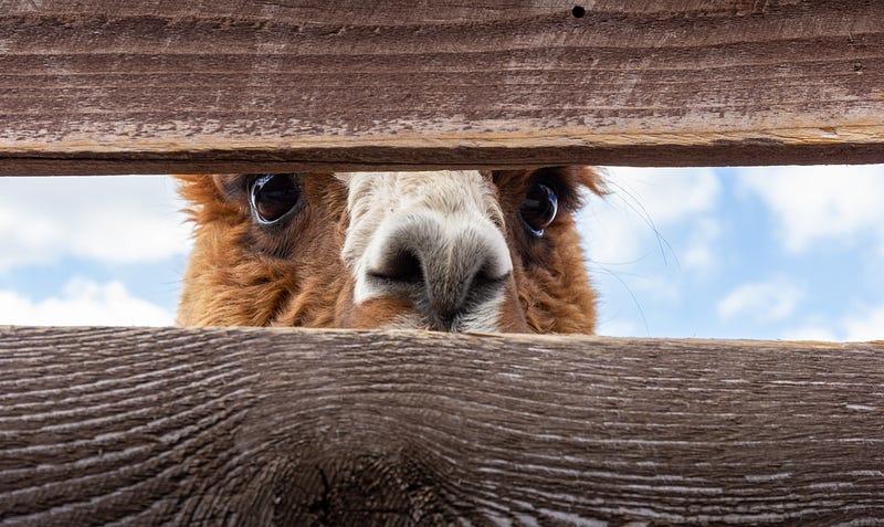 Children exploring the world with curiosity