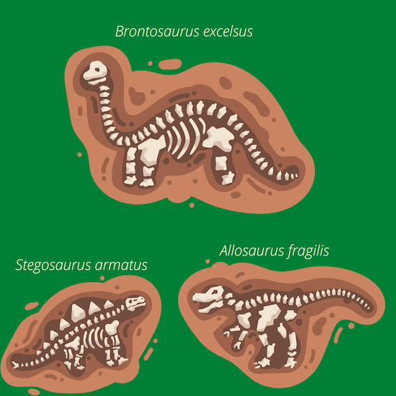 Various species of Jurassic dinosaurs.