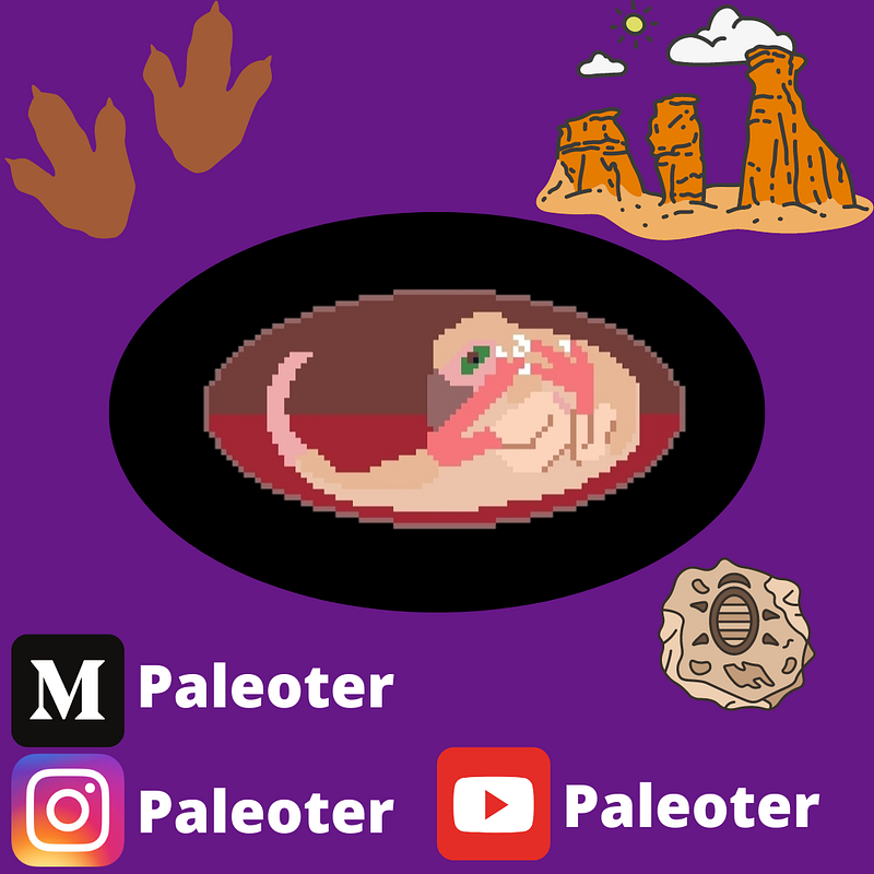 Paleoter's social media links.