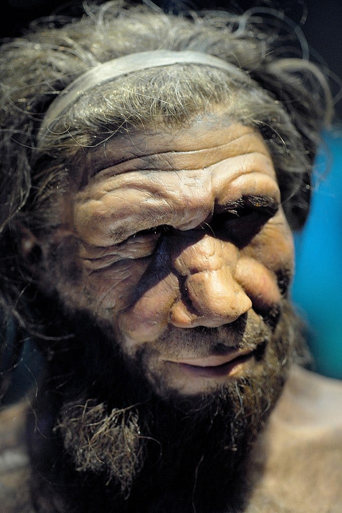 Neanderthal reconstruction at the Natural History Museum