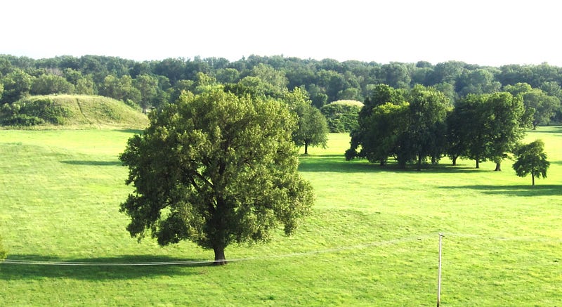 View from Monk's Mound