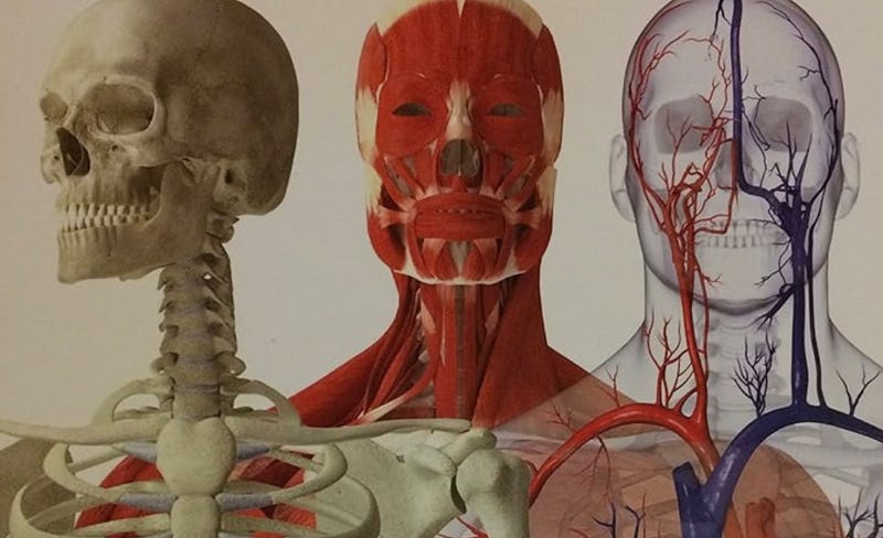 The human body as a complex machine