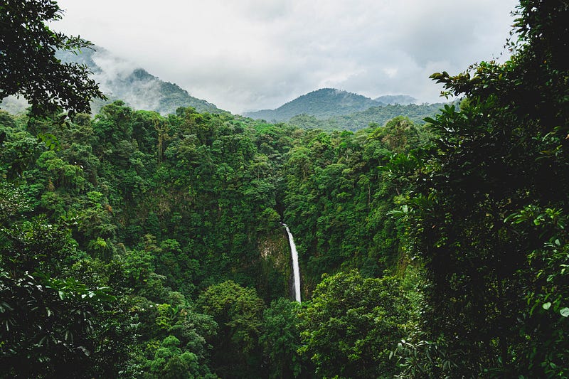 Lush landscapes of Costa Rica