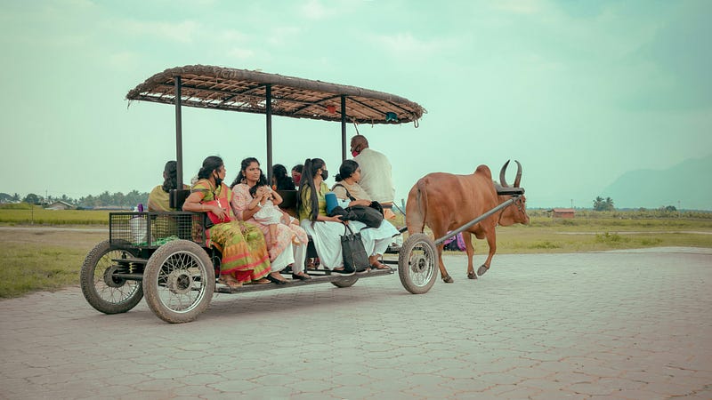 Historical photo of early automobiles on the road.