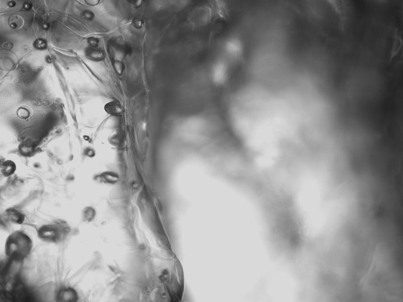 Microscopic view of tiny air bubbles in ice