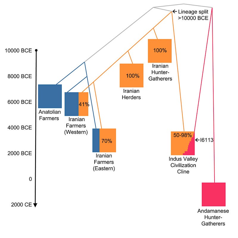 Genetic Analysis of Rakhigarhi Woman