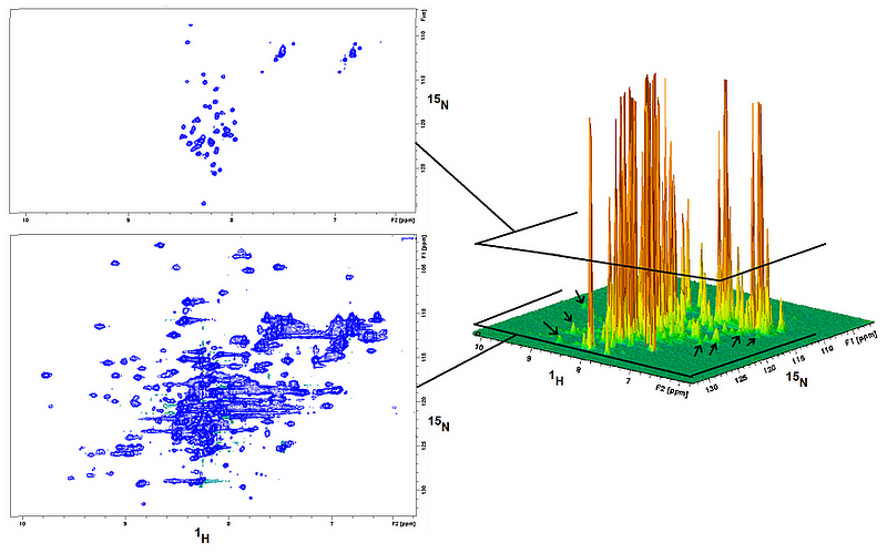 NMR Spectra Example